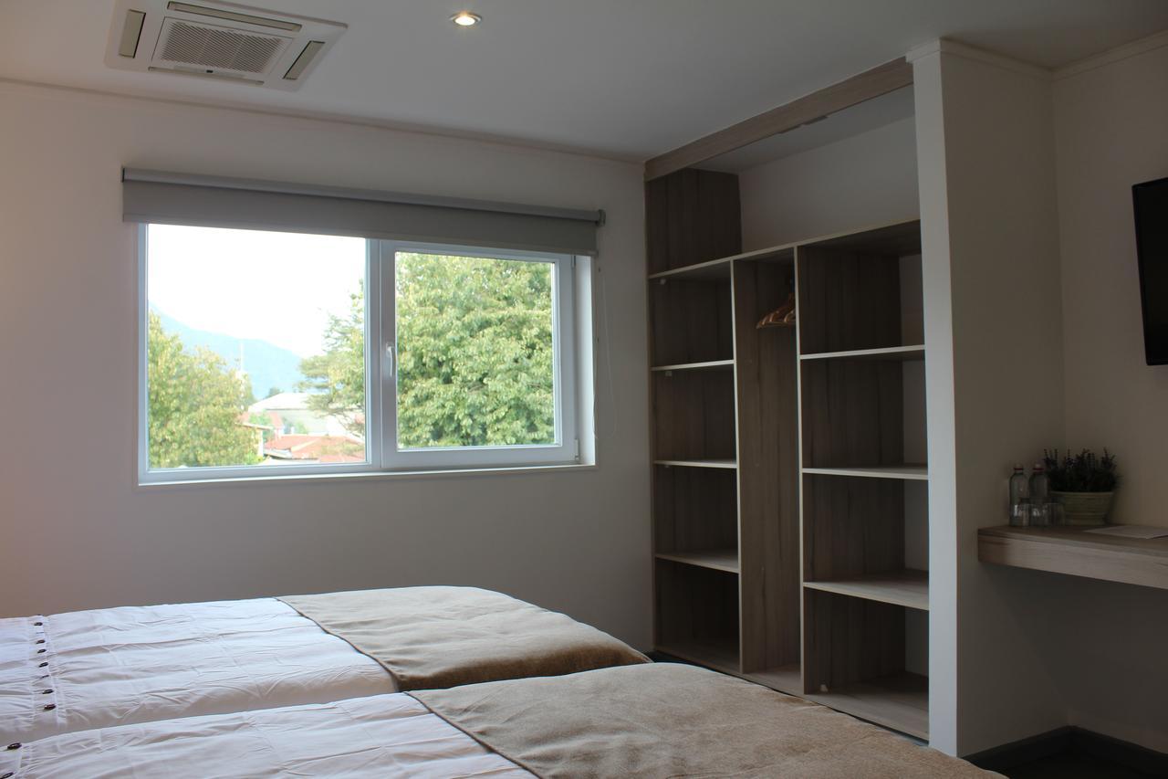 Fresia Suite Pucón Extérieur photo